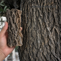 Arbre artificiel de banian réaliste et ignifuge, grand arbre de banian ficus pour la décoration commerciale, les designers d'intérieur, les hôtels, les restaurants, les centres commerciaux