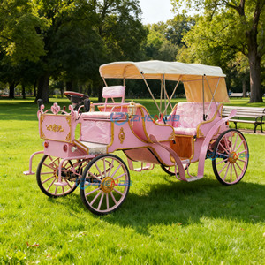 Carruaje Eléctrico para Turismo, Carroza Real de Navidad, Carroza Rosa para Turismo - Product Image 1