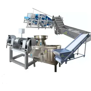 Ommercial-línea de producción de bebidas de agua, máquina de procesamiento de cocos verdes