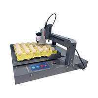 Nouveau lot bon marché Tij oeuf Date de péremption et numéro de lot Machine de codage Imprimante à plat pour l'impression de la date de péremption des aliments et des boissons