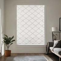 Persianas Romanas Modernas de Alta Calidad con Diseño Integrado, 100% Opacas, Elevación Manual Suave para Ventanas Francesas y Dormitorios