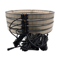 Kit d'éclairage LED Lumina Premium 12 rangées pour jantes, clignotants séquentiels ambre et blanc, pour camions et SUV (rééquipement)