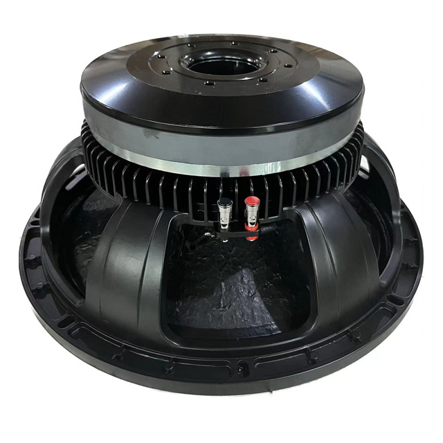 Dual 18 Inch 280 mm Magnet 125 mm Coil 2000w Dual 18 Inch Pro Sound Dj Sound System Box Subwoofer