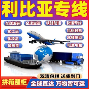 Chip Not Panic Group, Servicios Internacionales de Logística de Carga Aérea Express a Libia, Transporte Aéreo desde China - Product Image 3