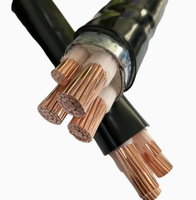 Cable de Alimentación Eléctrico Aislado en PVC Cabo Vav 4X95mm2 0.6/1kv 4X120mm2 4X4mm2 Vav Lvav 1X150mm2 1X240mm2