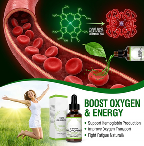 Gouttes de chlorophylle liquide 59 ml, saveur menthe, stimulant d'énergie naturel, antioxydant, détoxifiant pour la peau, soutien immunitaire pour adultes, déodorant interne - Product Image 4