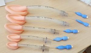 Masque laryngé en silicone de qualité médicale réutilisable, stérilisé <span class=keywords><strong>à</strong></span> l'oxygène stérile (EOS) pour la gestion des voies respiratoires en anesthésie - Product Image 2