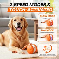 Jouet interactif d'entraînement en plein air pour chiots, chiens de grande et moyenne taille, balle à tirer avec corde