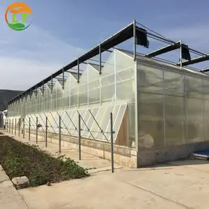 Sistema de estufa hidroponia multi-span, venda estufa de policarbonato para agricultura