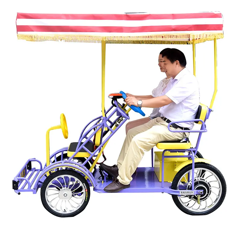 Bicicleta eléctrica de carga para adultos, Rickshaw, Surrey, pareja, vehículos recreativos, barato, OEM