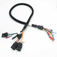 Kabel Harness Konduktor Aluminium IP66 Berkualitas Tinggi 2-6 Pin JST XH SH ZH Molex dengan Pitch 1.0/1.5/2.0/2.5 untuk Elektronik Papan