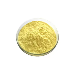 Abherb Chiết Xuất Từ Thực Vật Nguyên Chất Bán Chạy 98% Chiết Xuất Epimedium Bột Icariin