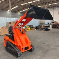 Mini-chargeuse sur chenilles autopropulsée avec capacité de charge de 360 kg, moteur et pompe, fournisseur en gros pour commandes d'exportation