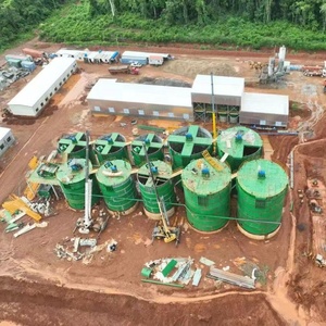 Impianto di Lavorazione dell'Oro CIP da 50 TPD ad Alto Tasso di Recupero, Macchinario per Estrazione dell'Oro con Tecnologia Carbon in Pulp per la Separazione dell'Oro - Product Image 1