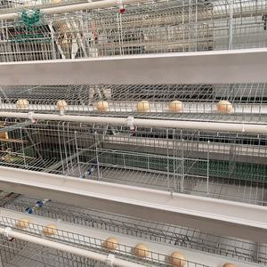 Prix d'usine, cage à poules pondeuses de type H, cage à batterie à 4 niveaux, cage à poules automatisée pour le Kenya, élevage de volailles de 10 000 oiseaux - Product Image 4
