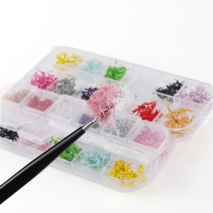 Ensemble de <span class=keywords><strong>fleurs</strong></span> séchées pour manucure, pièces, haute qualité, divers paquets, <span class=keywords><strong>fleurs</strong></span> naturelles pressées pour <span class=keywords><strong>fleurs</strong></span> séchées, nail art - Product Image 5