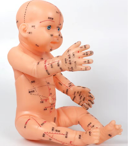 Modello Didattico di Agopuntura per Bambini, Modello di Formazione per Massaggio Tradizionale Cinese su Tutto il Corpo - Product Image 4