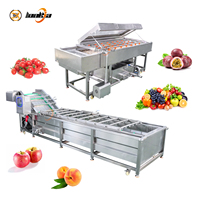Waslijn voor cherrytomaatjes, passievruchten, olijven, pruimen, abrikozen; wasmachine met bubbels; fruitreinigingslijn