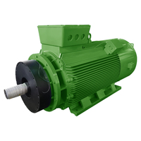 Motor Trifásico de CA de Alta Tensión Y2-5601-8 630KW 6KV IP55 IC411 742rpm
