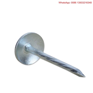 Clavos fabricantes/honesto a los niños y personas mayores/precio de fábrica directo <span class=keywords><strong>sin</strong></span> <span class=keywords><strong>intermediarios</strong></span> - Product Image 1