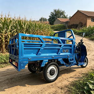 Triciclo Eléctrico Multifuncional <span class=keywords><strong>de</strong></span> Carga con Motor <span class=keywords><strong>de</strong></span> 1000W y Velocidad <span class=keywords><strong>de</strong></span> 50km/h para <span class=keywords><strong>Transporte</strong></span> <span class=keywords><strong>de</strong></span> Mercancías en Zonas Rurales - Product Image 6