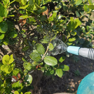 เครื่องพ่นสารเคมีแบบปั๊ม 2 ลิตร พลาสติกทนกรด สีใส สำหรับทำสวนและทำความสะอาดรถยนต์ - Product Image 2