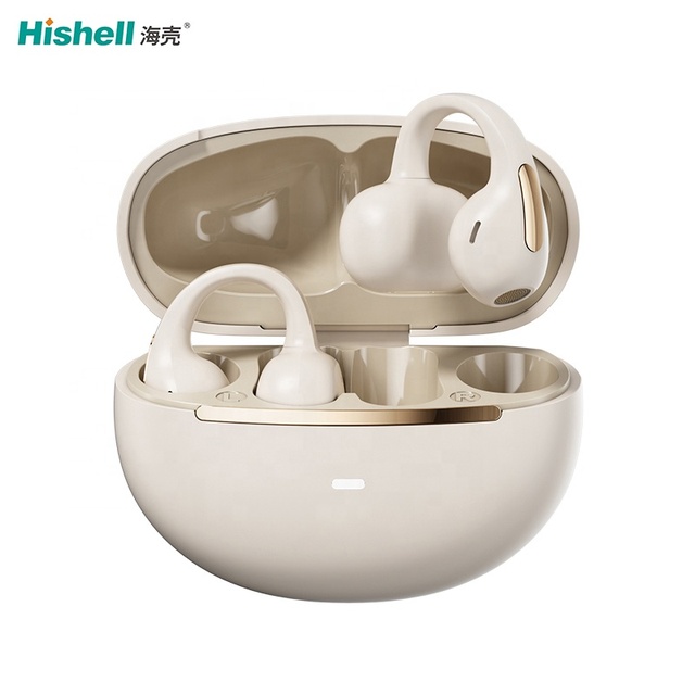 Multiple Functions Online Real Time Translation 165 Languages Ear-clip TWS Wireless Translator Earbuds M136