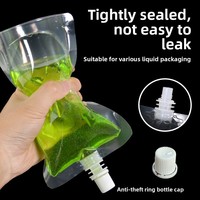 Poche à bec liquide transparente 3L 5L 8L avec poignée sac de boisson debout pour jus eau lait Camping en plein air Logo personnalisé