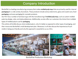 Boîte d'emballage en papier moulé biodégradable sur mesure, insert en pulpe de <span class=keywords><strong>bambou</strong></span> et de canne à sucre - Product Image 3