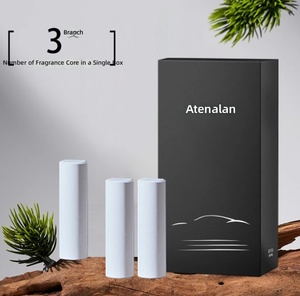 Ensemble de bâtonnets en céramique parfumés personnalisés pour voiture, <span class=keywords><strong>d</strong></span>ésodorisant longue durée, recharge de bâtonnets, support logo OEM - Product Image 3