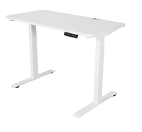 Bureau assis-debout électrique ergonomique à moteur unique, moderne et minimaliste, en acier, pour bureau à domicile, réglable en hauteur