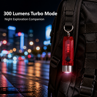 Senter Gantungan Kunci EDC Ultra-Ringan 21g 300LM Mini Faceted Torch Bodi Transparan Dapat Diisi Ulang Senter Kecil untuk Penggunaan Sehari-hari