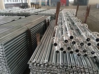 Andamio de bloqueo de anillo de construcción al por mayor, sistema de construcción resistente, andamio de capa de bloqueo de anillo de acero
