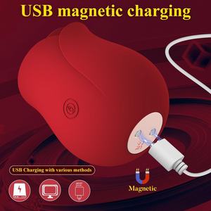 Roze Siliconen G-Spot Clitoris Stimulator 2in1 Gemakkelijk Schoon Seksspeeltjes 10 Trillingen Waterdichte Sextoy Voor Vrouwen Clitoris Vibrator - Product Image 6