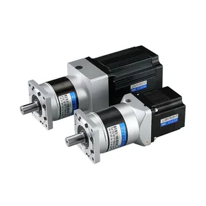 Motor de engranaje planetario de 24 voltios, 310V, 2000W, CC, 1200 vatios, alto Torque, 35Nm, 0,6, 1, 1,5 Kw, 2Kw, 2 Hp, 1500W, 48V, Bldc con caja de cambios planetaria