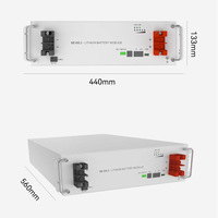 Batterie LiFePO4 51,2 V 100 Ah à montage en rack, 5 kWh, stockage d'énergie solaire photovoltaïque, alimentation de station de base télécom, connexion parallèle jusqu'à 64 unités