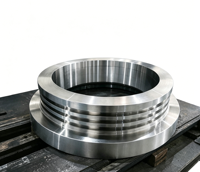 Service de fraisage de grandes brides robustes |   Bride en acier forgé CNC OEM pour les secteurs minier, cimentier et des systèmes sous pression