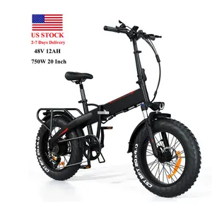 Chất lượng cao 24V Pin Ebike 48V biscleta electrica Wuxi Xe đạp điện