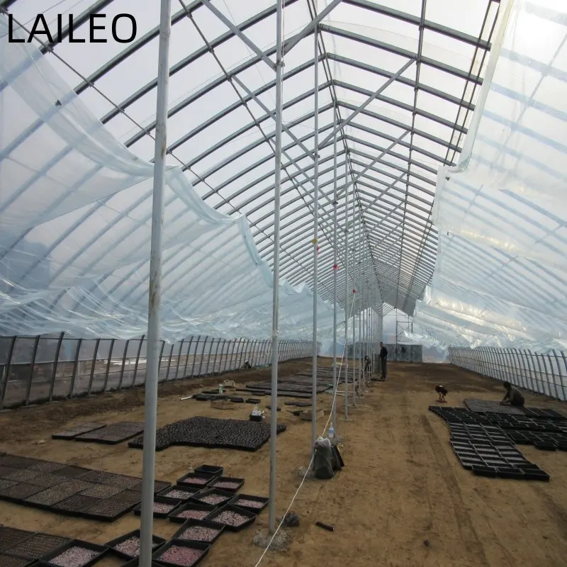 Galvanized steel Frame Single span PE Film greenhouse for Agriculture Low cost