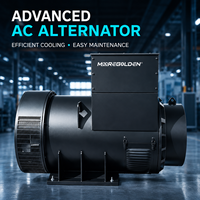 Alternateur AC sans balais industriel 320 kW 400 kVA avec AVR type Stamford pour groupe électrogène diesel