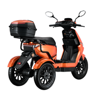 Scooter électrique à 3 roues en alliage d'aluminium 1000W, moteur sans balais, batterie au lithium étanche, autonomie de 110 km pour adultes et personnes âgées