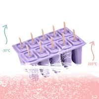 Offre Spéciale : Moules à Glaces Réutilisables à 10 Cavités en Silicone Alimentaire, Démoulage Facile, avec Bâtonnets en Bois