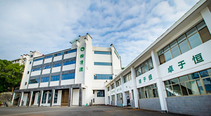 Thé vert au lait à petites feuilles de Chine Thé vert à feuilles pleines Thé vert Chunmee - Product Image 4