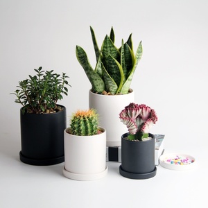 Pot de fleurs en céramique nordique moderne, jardinières élégantes <span class=keywords><strong>pour</strong></span> l'<span class=keywords><strong>extérieur</strong></span> et l'intérieur, <span class=keywords><strong>pour</strong></span> jardins contemporains et décoration d'intérieur élégante - Product Image 2