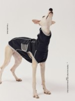 Luxuriöses, bequemes Partner-Outfit für Hundebesitzer: Whippet-Pullover mit magnetischem Netzdetail, hohem Kragen und 100 % elastischer Faser