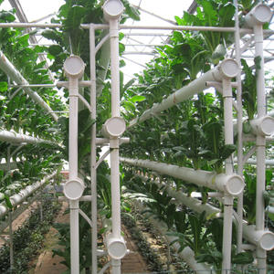 Hyroponisches Anbaus ystem des Gewächshaus turms Aquapo nische Hydro ponik systeme für den Innen-und Außenbereich - Product Image 6