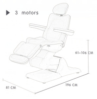 Lit électrique de luxe Kisen de salon de beauté 3 moteurs Table de massage médical portable pour le corps chaise faciale de cils pour salon de beauté