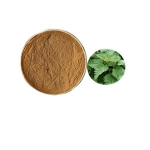 B.C.I menyediakan ekstrak pulpen kualitas tinggi ekstrak daun jelatang organik - Product Image 2