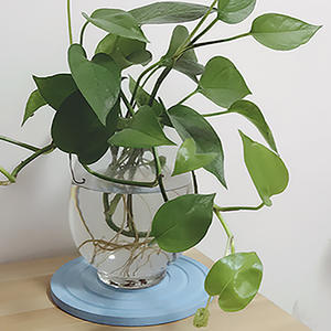 Posavasos redondo de tierra diatomeas, color sólido, absorbente, para macetas, decoración de mesa, alfombrillas. - Product Image 4