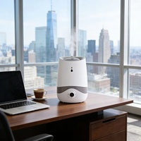 Nouveau 2025 – Mini humidificateur portable à ultrasons 300 ml avec lumière LED pour voiture, maison et hôtel
